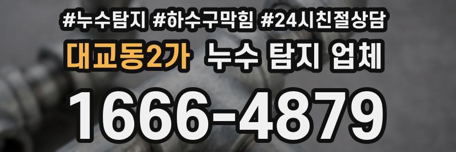 대교동2가 누수 탐지 업체