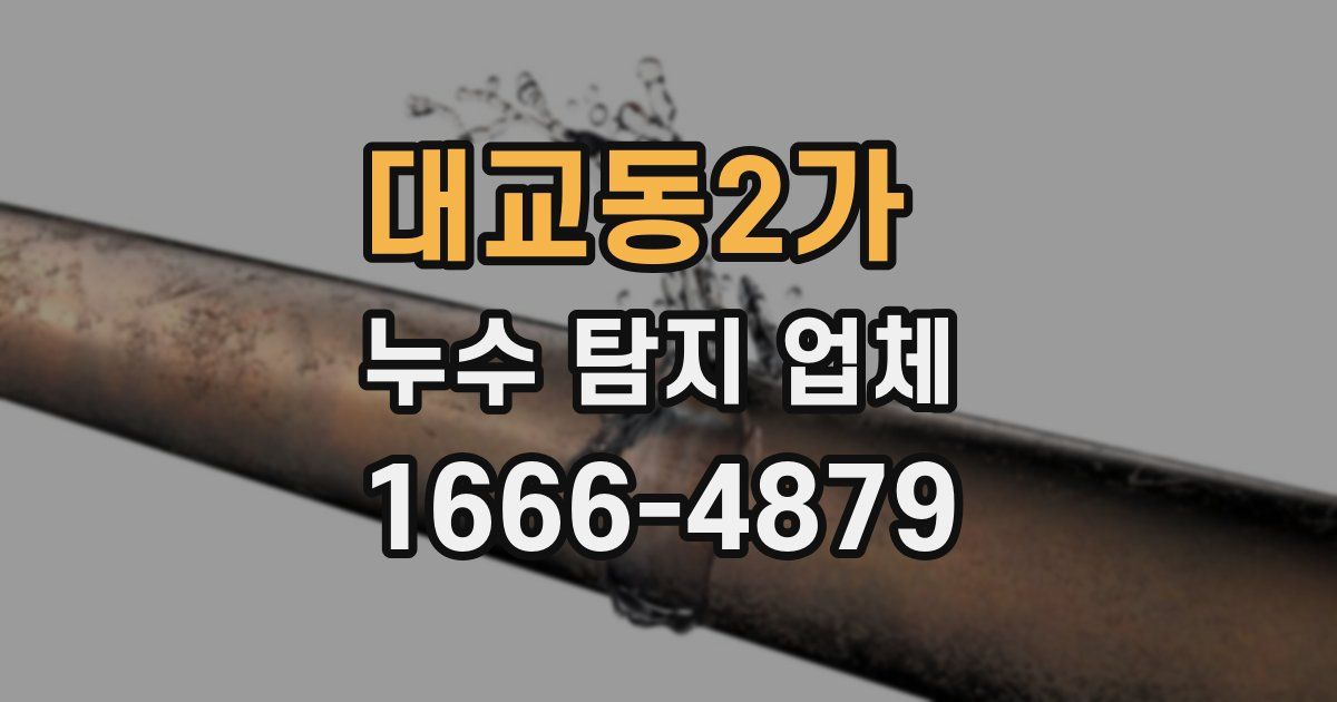 대교동2가 누수 탐지 업체