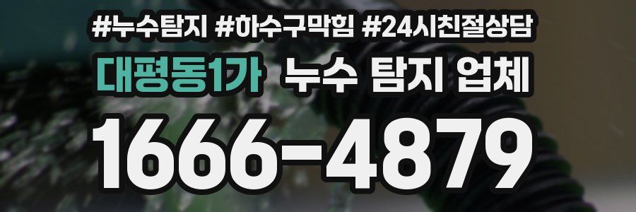 대평동1가 누수 탐지 업체