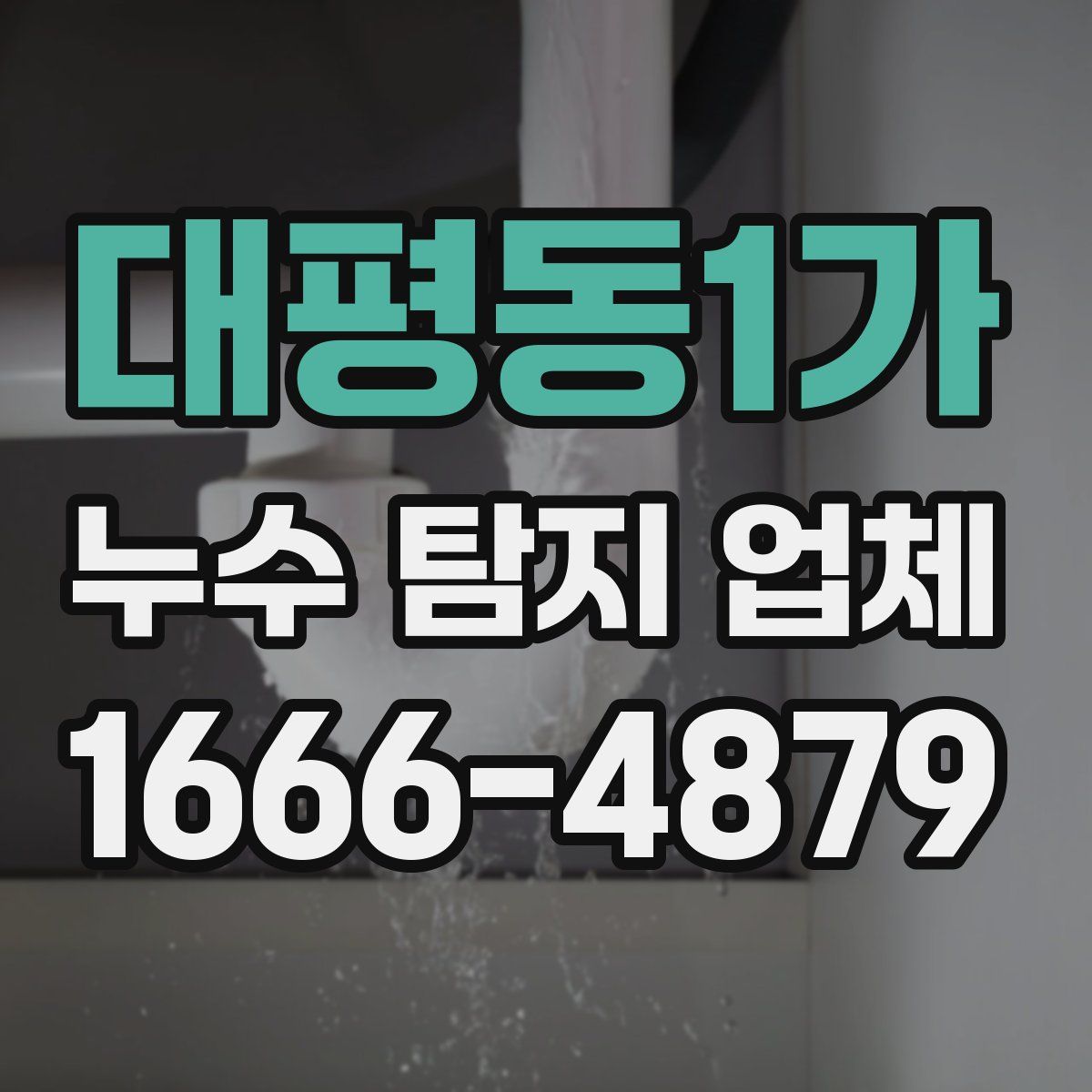 대평동1가 누수 탐지 업체