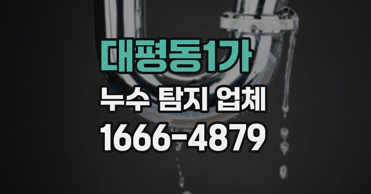 대평동1가 누수 탐지 업체