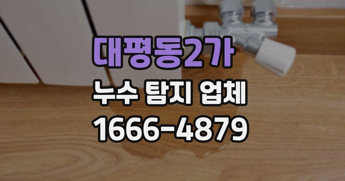 대평동2가 누수 탐지 업체