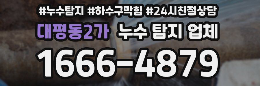 대평동2가 누수 탐지 업체