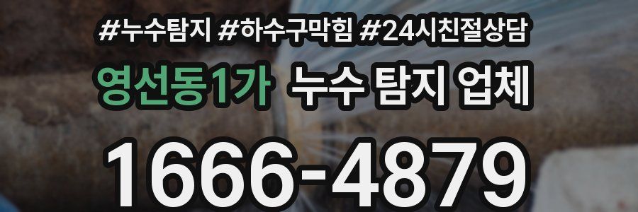 영선동1가 누수 탐지 업체