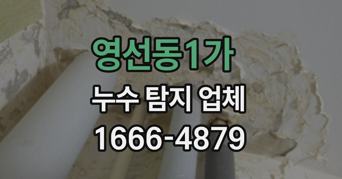 영선동1가 누수 탐지 업체