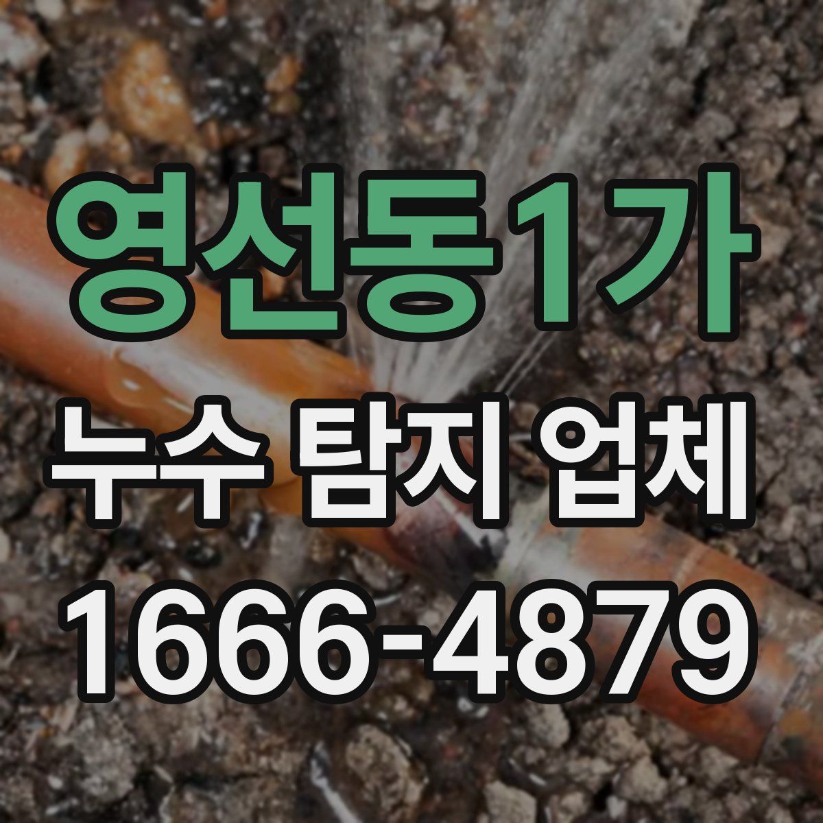 영선동1가 누수 탐지 업체