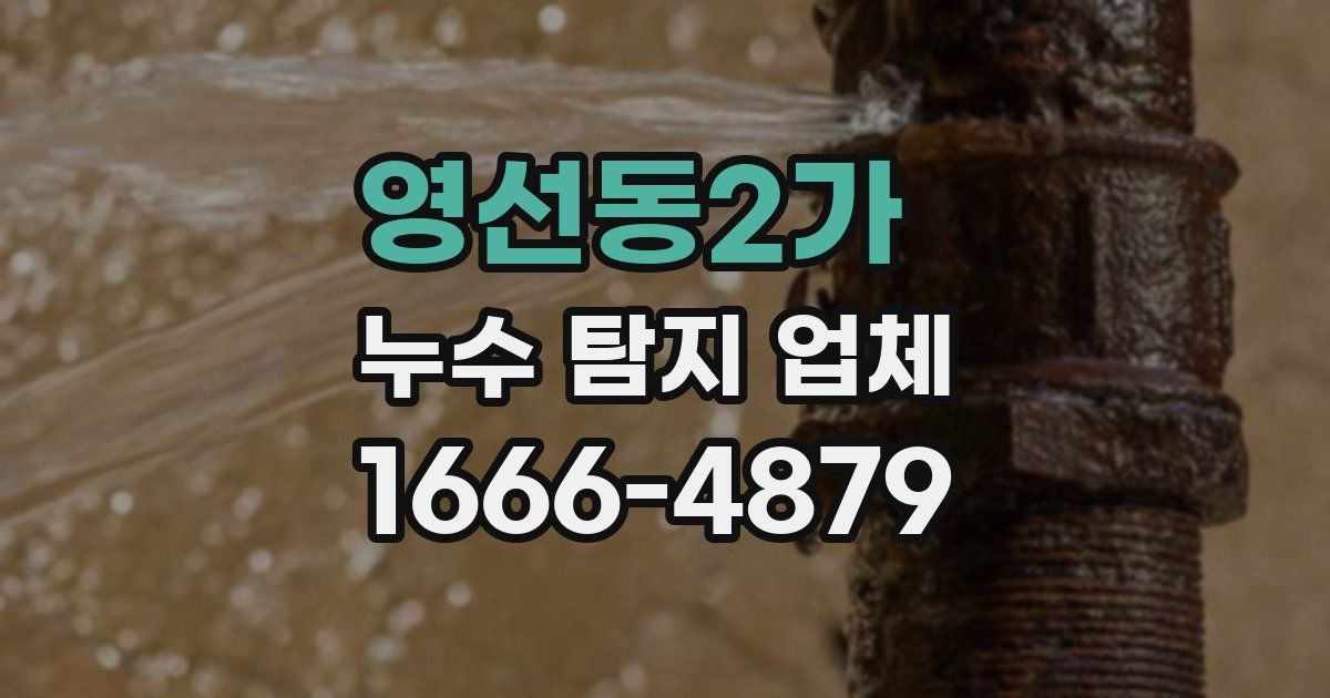 영선동2가 누수 탐지 업체
