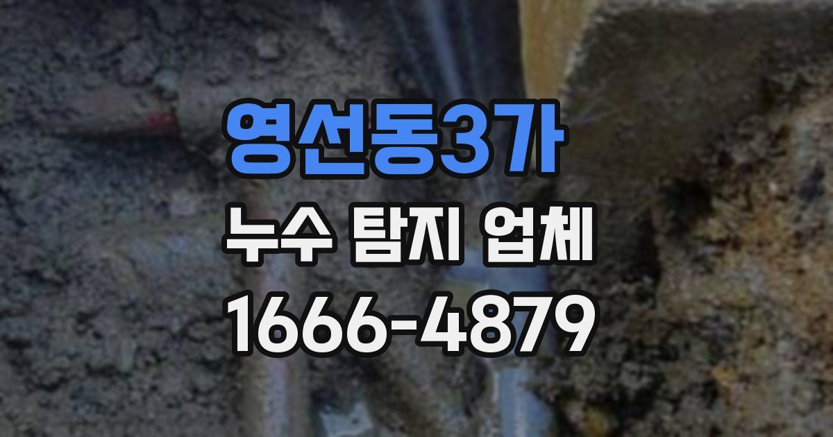 영선동3가 누수 탐지 업체