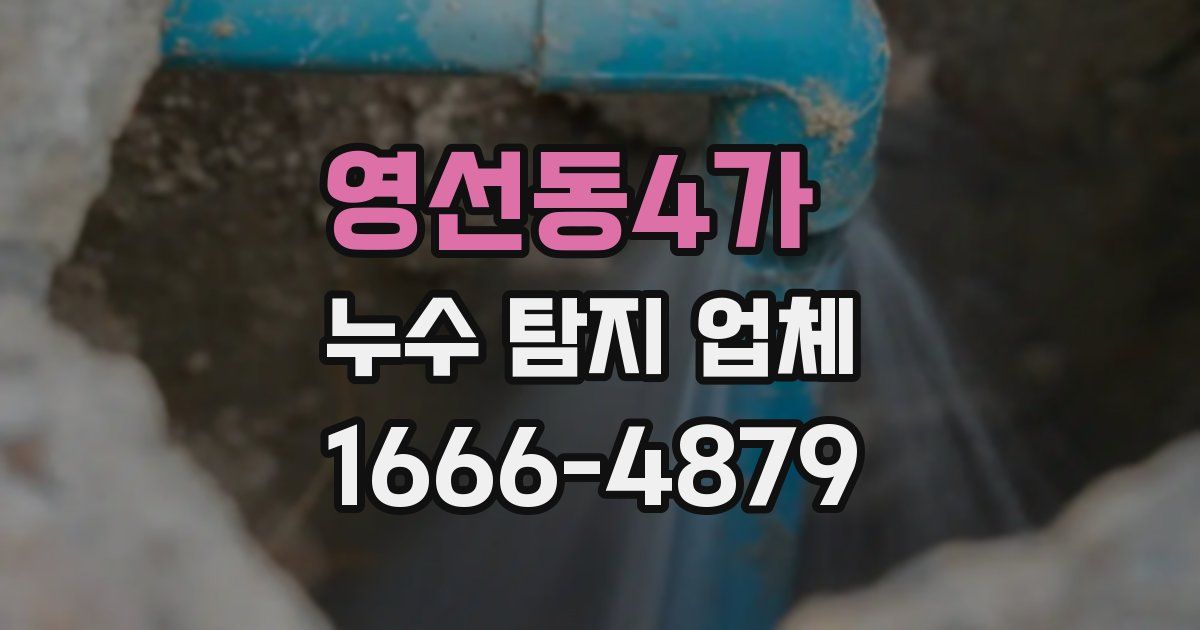 영선동4가 누수 탐지 업체