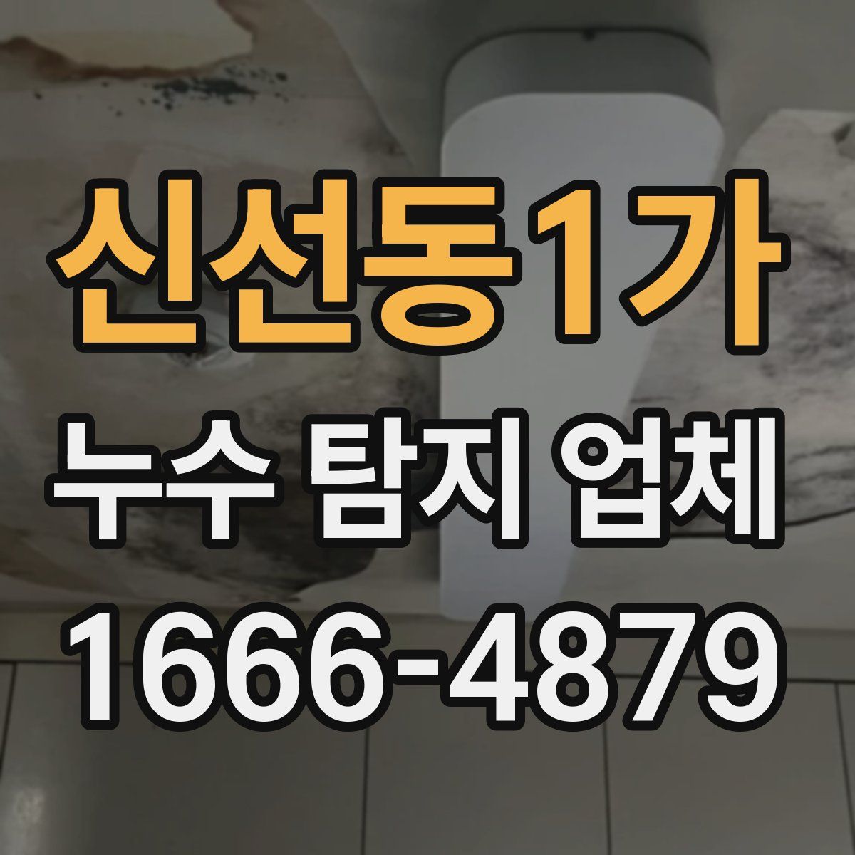 신선동1가 누수 탐지 업체