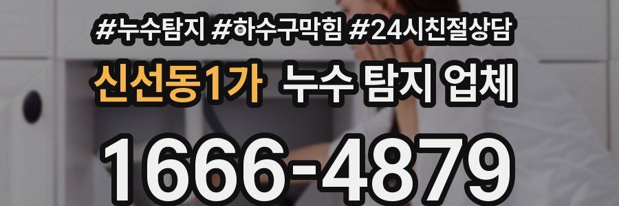 신선동1가 누수 탐지 업체