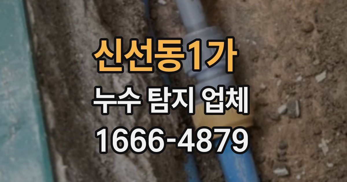 신선동1가 누수 탐지 업체
