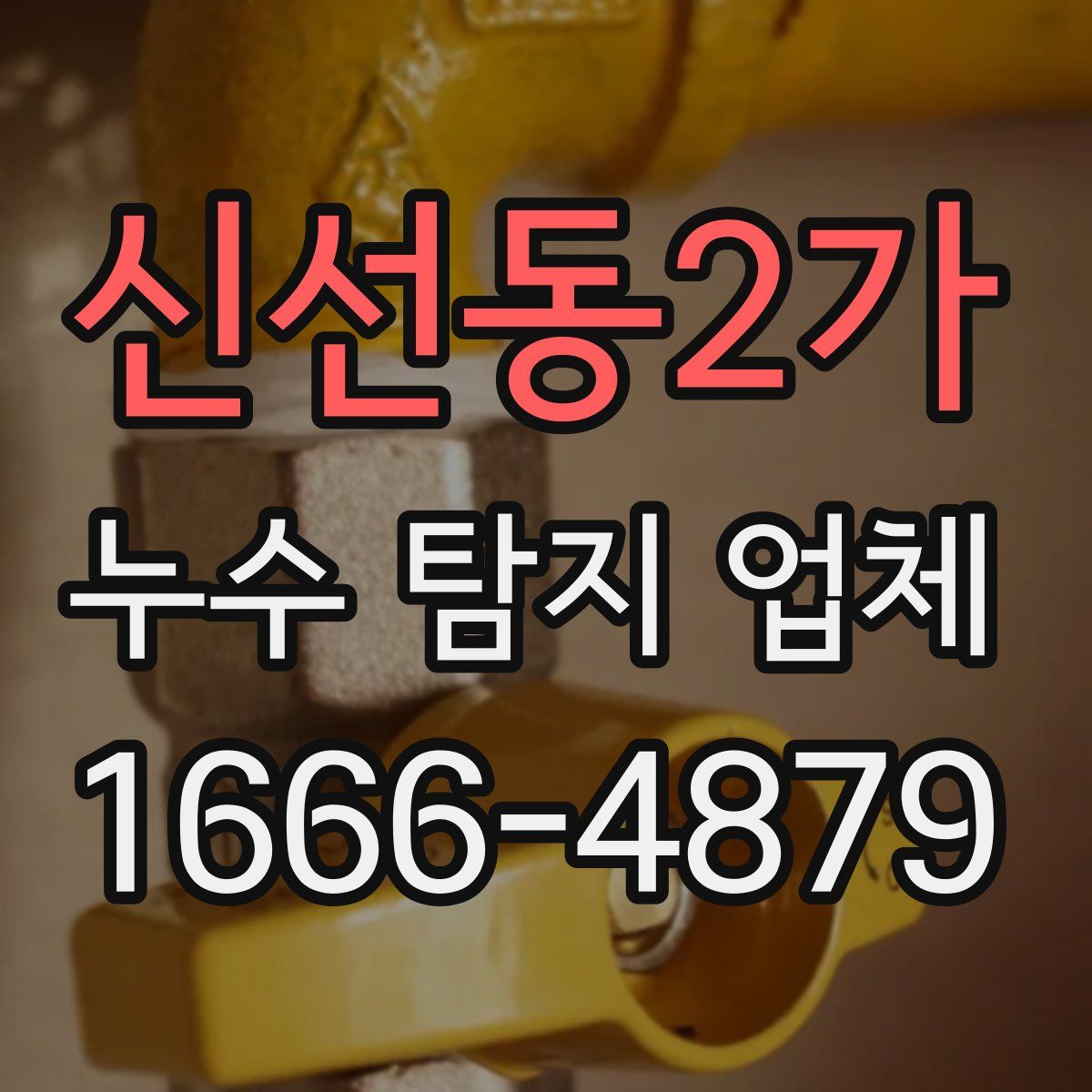 신선동2가 누수 탐지 업체