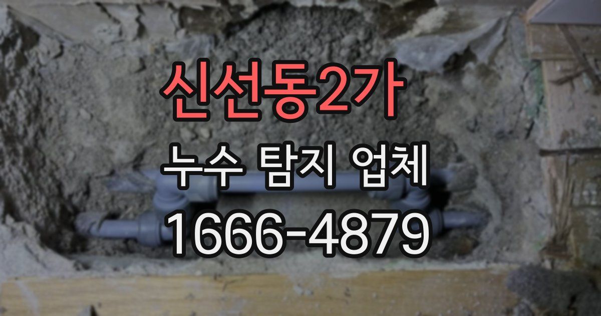 신선동2가 누수 탐지 업체