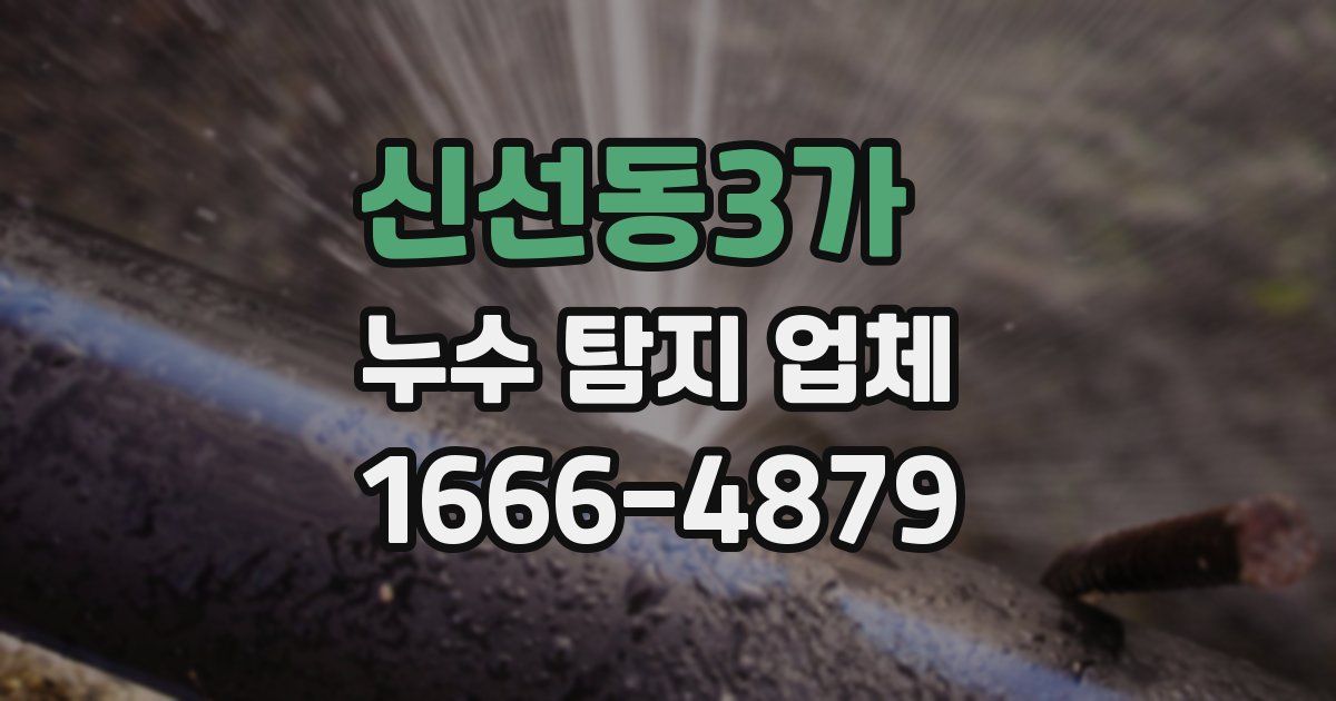 신선동3가 누수 탐지 업체