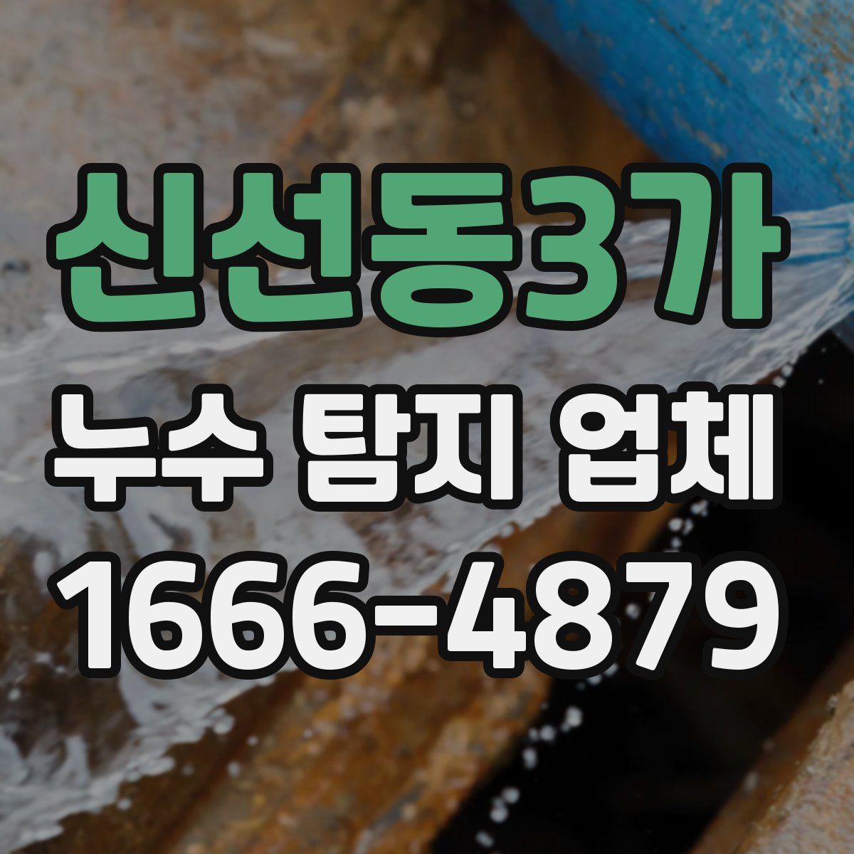 신선동3가 누수 탐지 업체