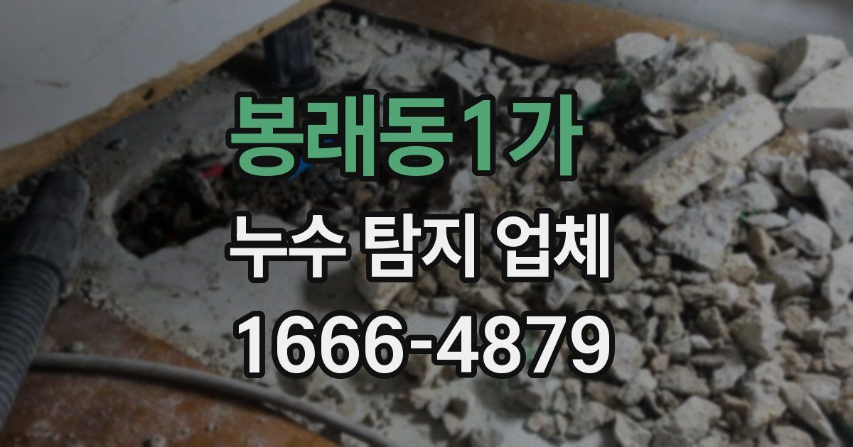 봉래동1가 누수 탐지 업체