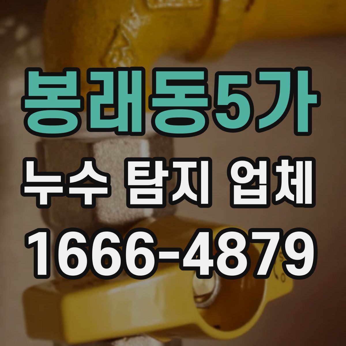 봉래동5가 누수 탐지 업체