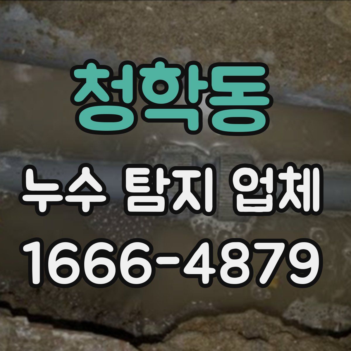 청학동 누수 탐지 업체