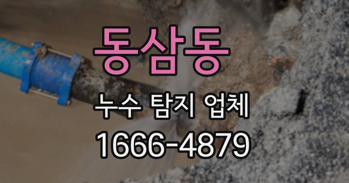동삼동 누수 탐지 업체