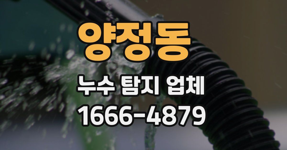 양정동 누수 탐지 업체