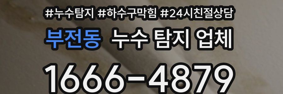 부전동 누수 탐지 업체