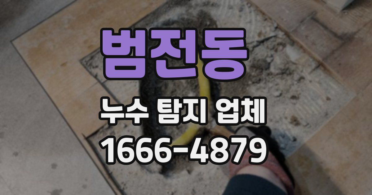 범전동 누수 탐지 업체