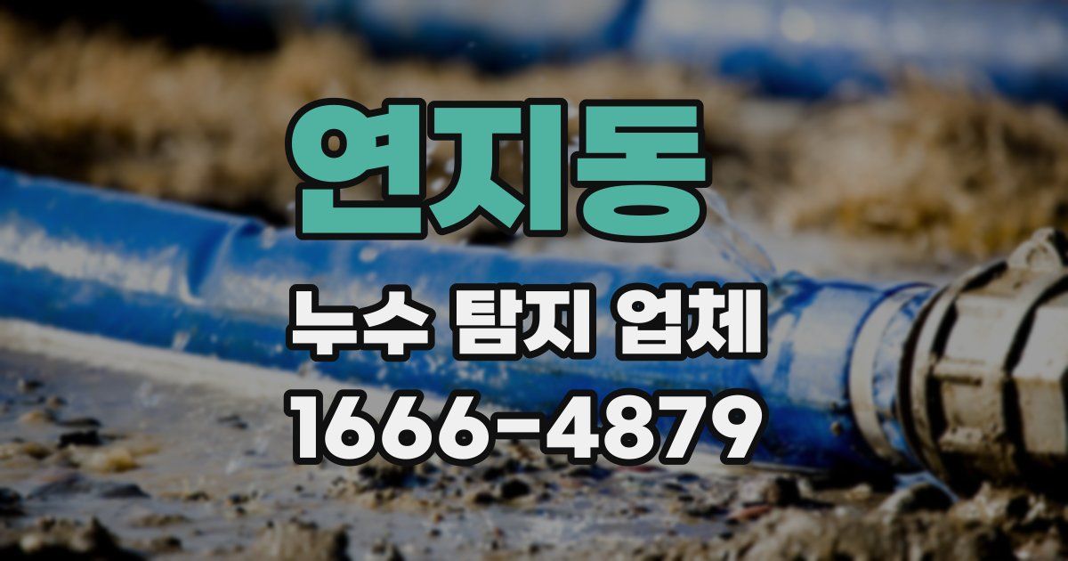 연지동 누수 탐지 업체