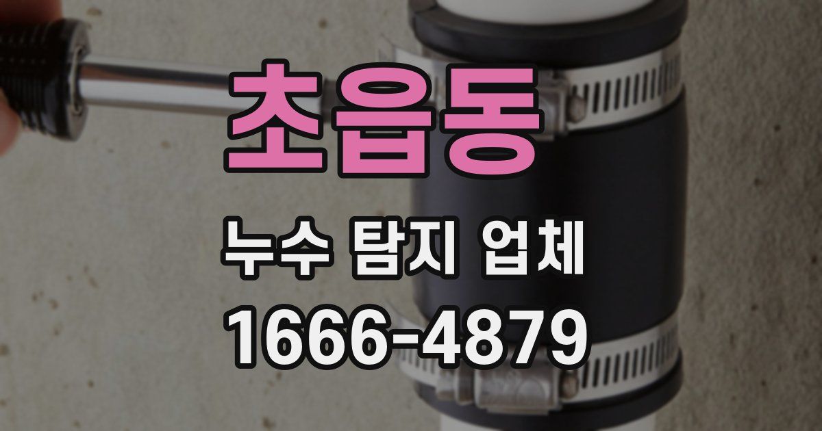 초읍동 누수 탐지 업체