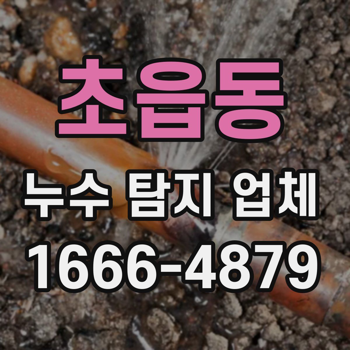초읍동 누수 탐지 업체