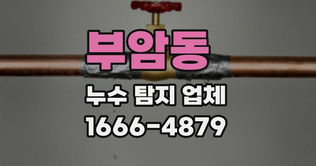 부암동 누수 탐지 업체