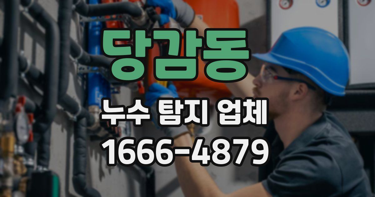 당감동 누수 탐지 업체