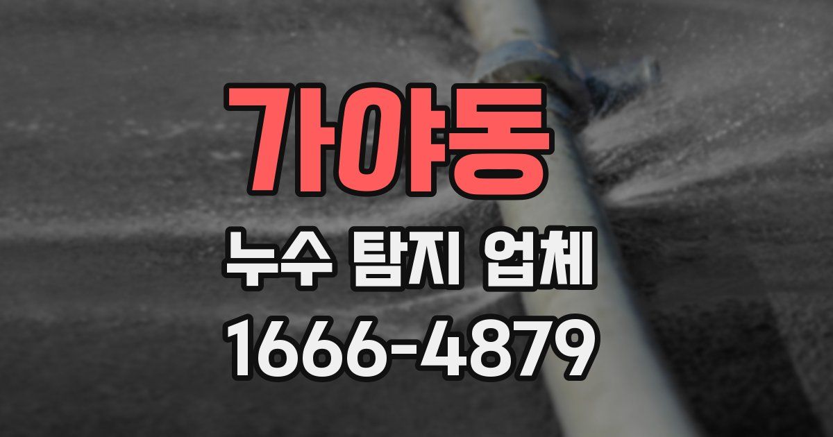 가야동 누수 탐지 업체