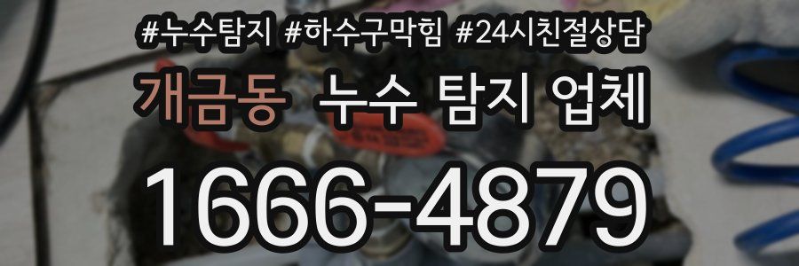 개금동 누수 탐지 업체