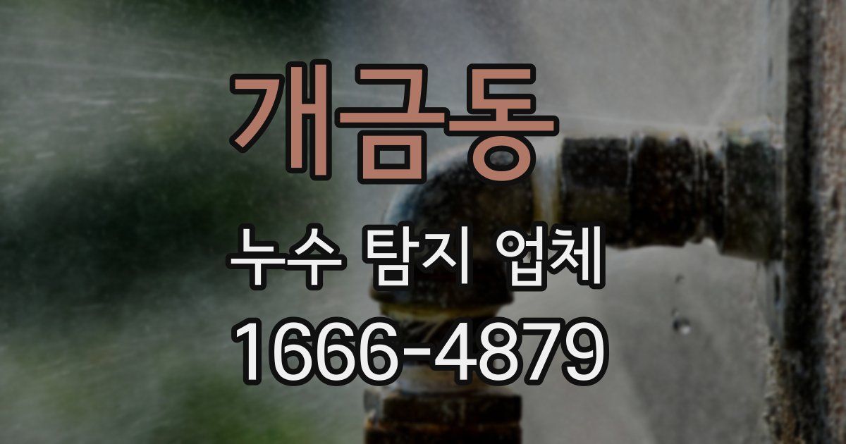 개금동 누수 탐지 업체