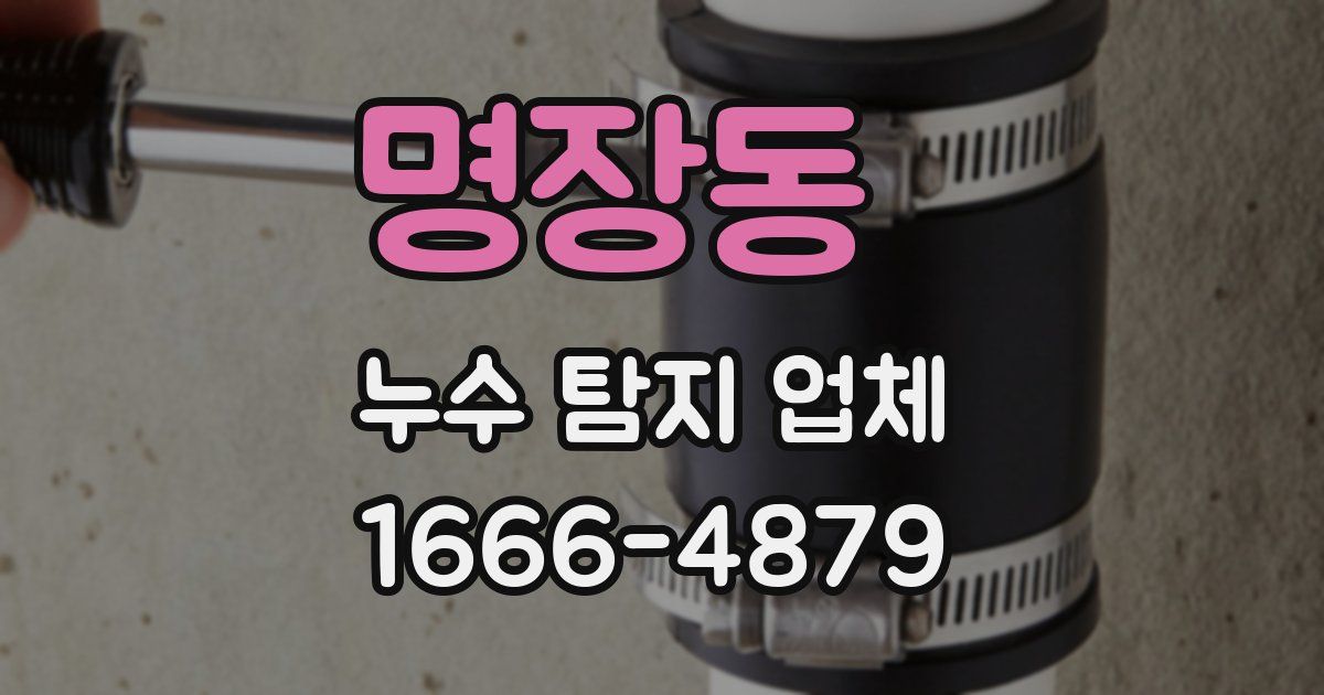 명장동 누수 탐지 업체