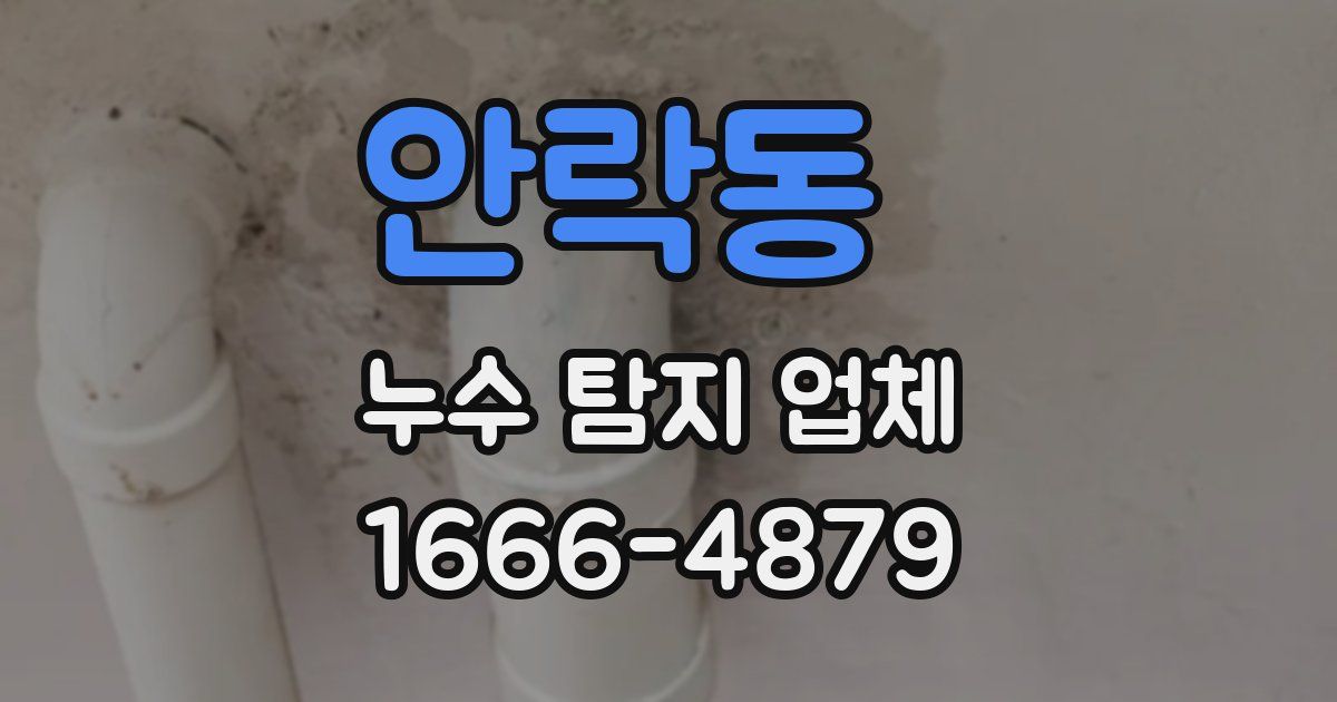 안락동 누수 탐지 업체