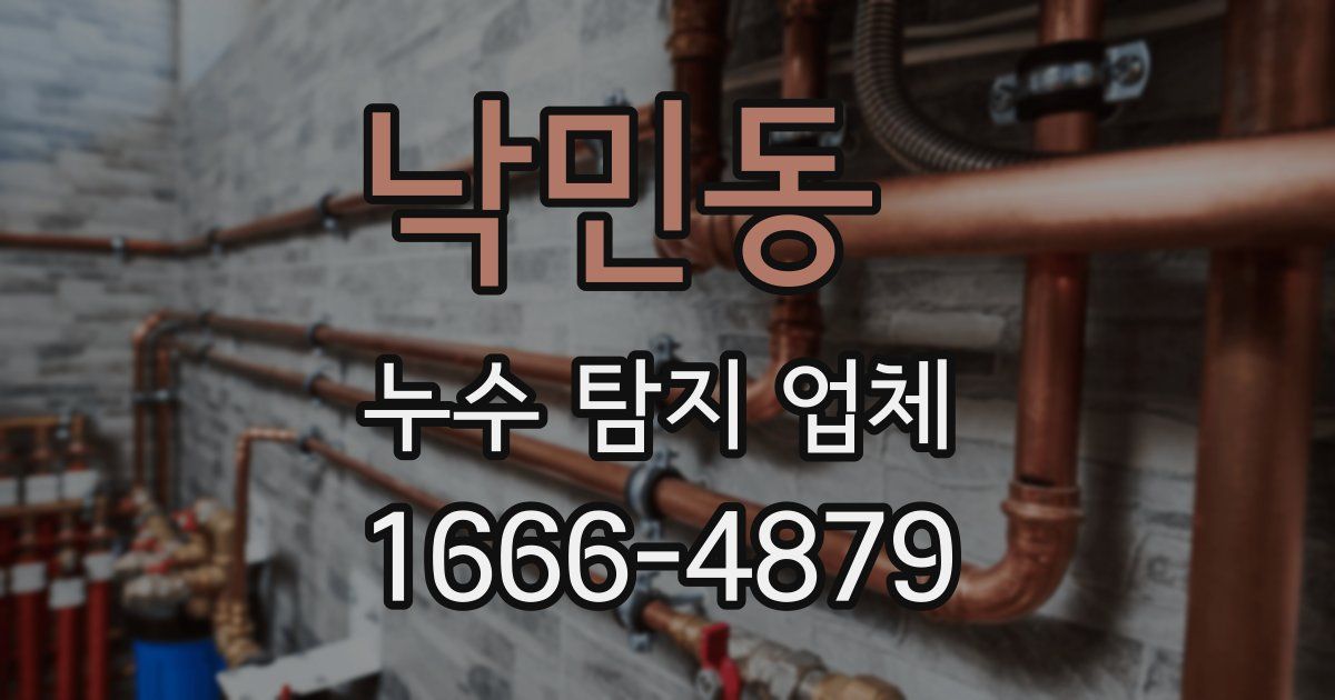 낙민동 누수 탐지 업체