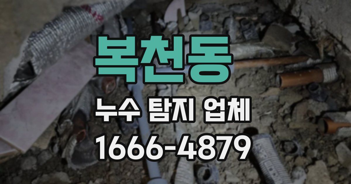 복천동 누수 탐지 업체