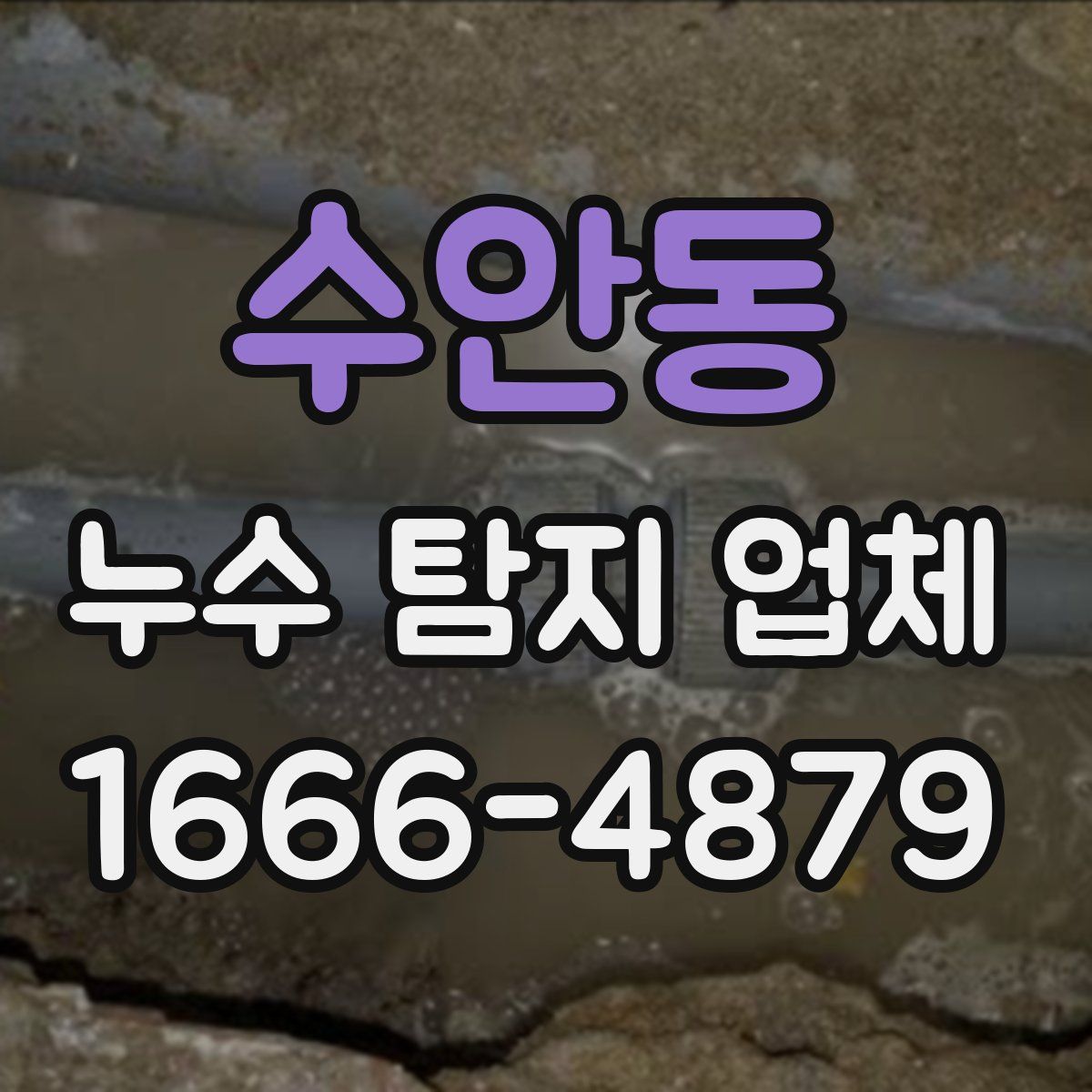 수안동 누수 탐지 업체