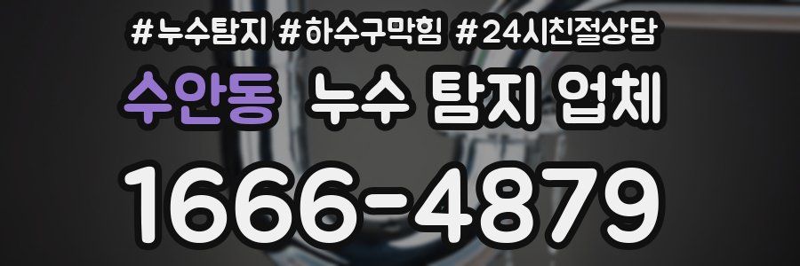 수안동 누수 탐지 업체