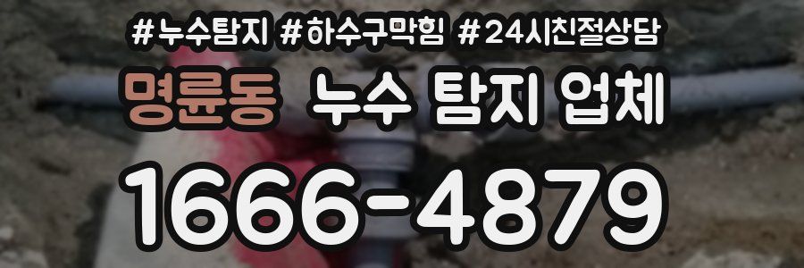 명륜동 누수 탐지 업체