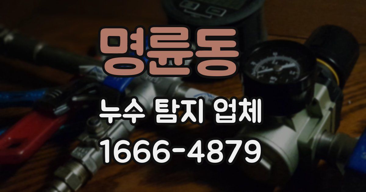명륜동 누수 탐지 업체