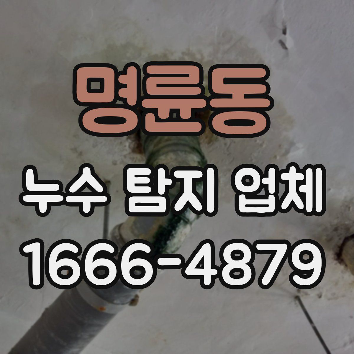 명륜동 누수 탐지 업체