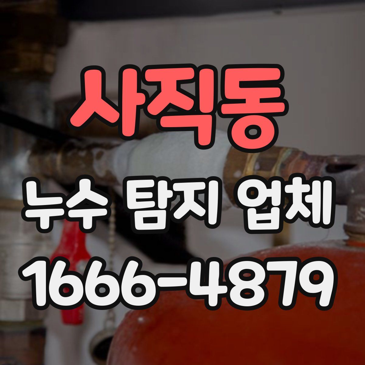 사직동 누수 탐지 업체