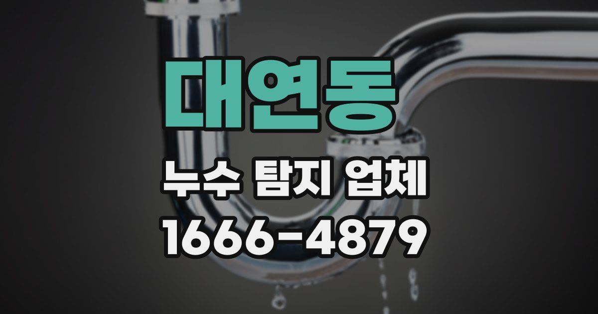 대연동 누수 탐지 업체