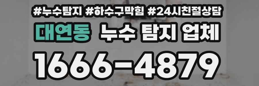 대연동 누수 탐지 업체