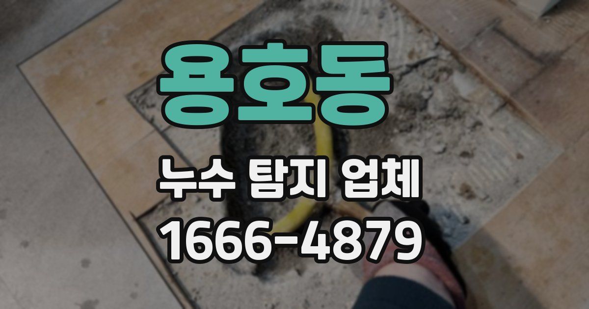 용호동 누수 탐지 업체