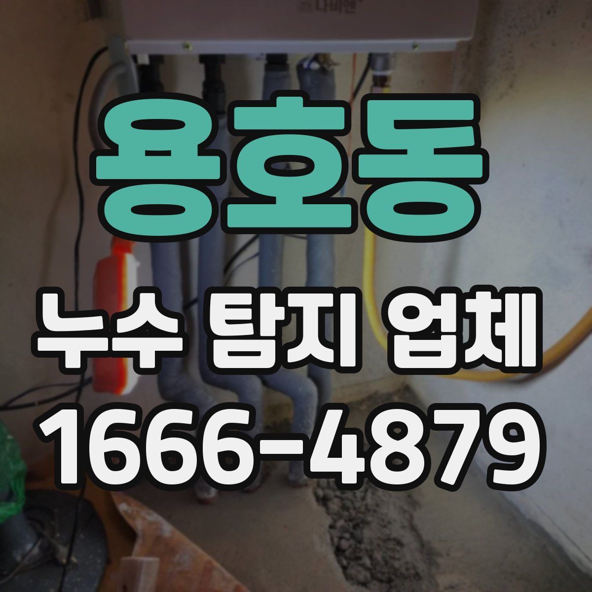 용호동 누수 탐지 업체