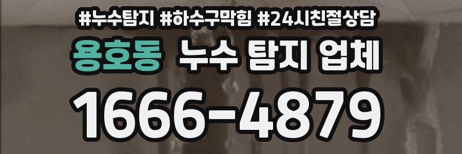 용호동 누수 탐지 업체